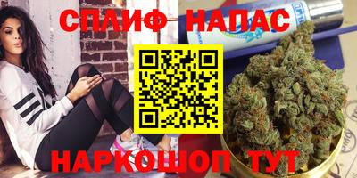 шишки Волгодонск