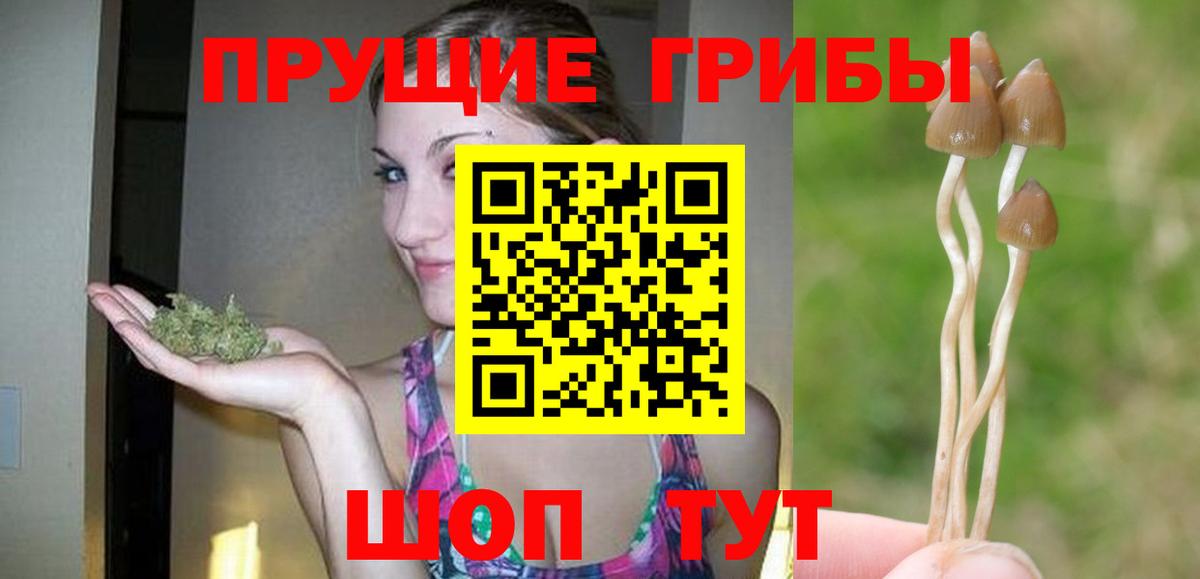 Псилоцибиновые грибы мухоморы Кинешма